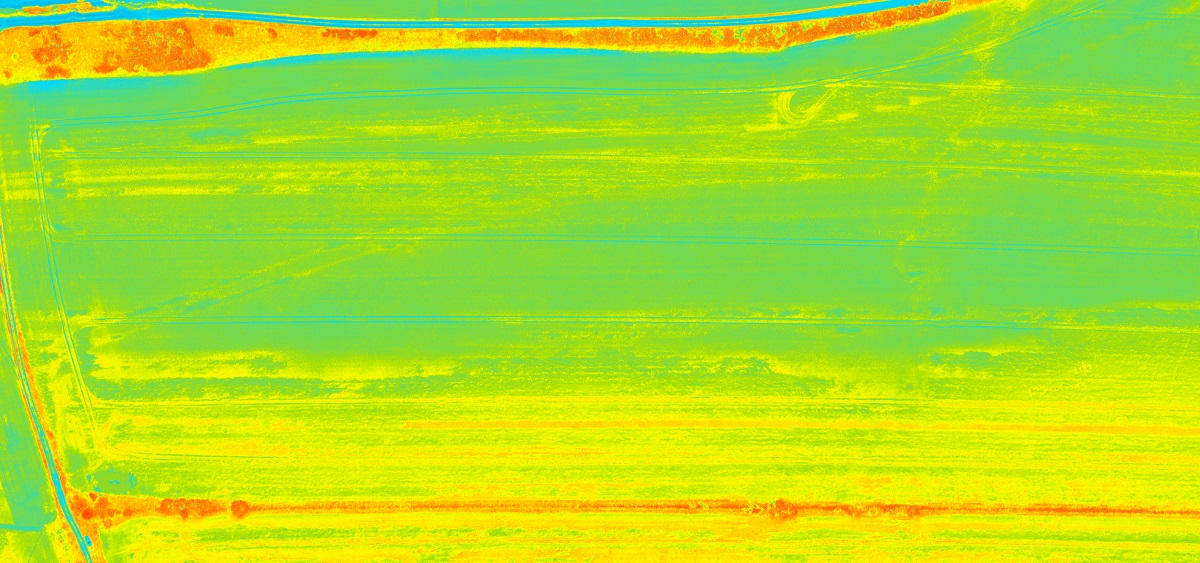 Example of an NDVI orthomosaic generated with Mavis